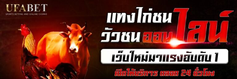 แทงวัวชน